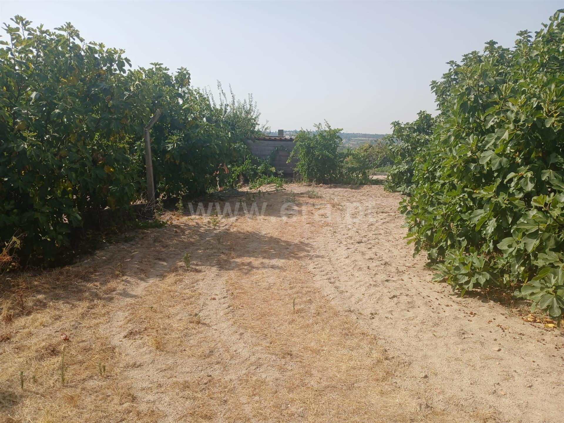 Land for sale in Fundão, Portugal — €62,500