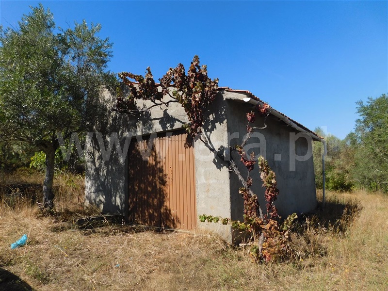 Terreno  Fundão, Capinha - 1037390 - 4