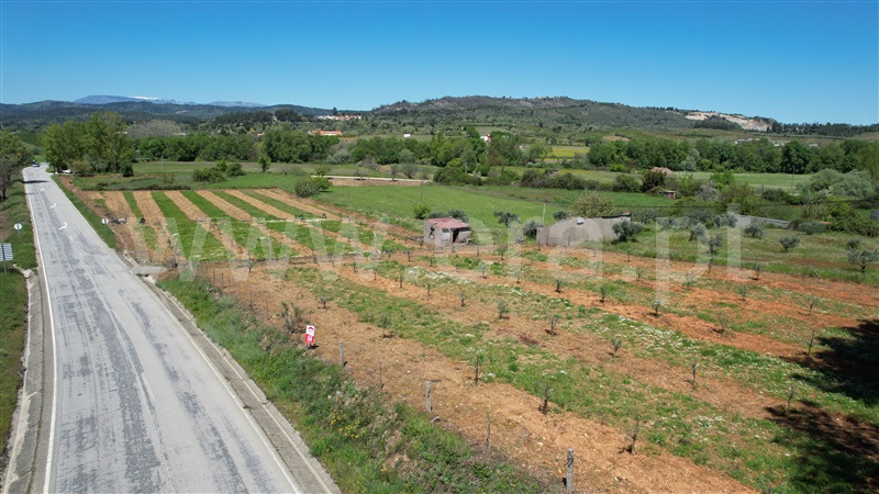 Terreno  Fundão, Capinha - 1480027 - 3