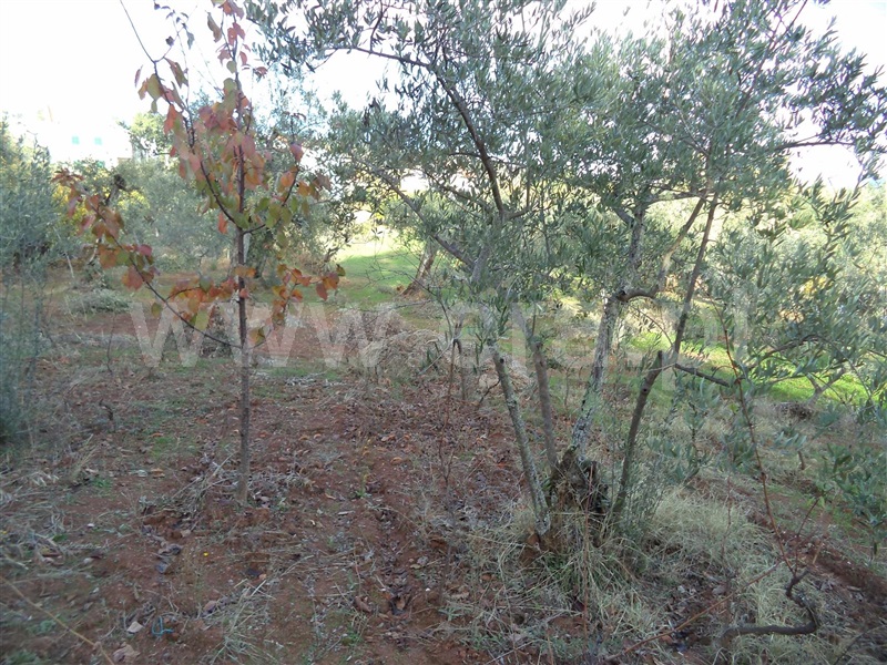 Terreno  Fundão, Capinha - 876136 - 4