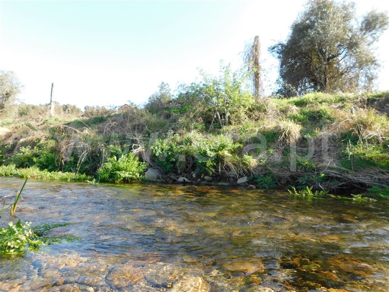Terreno  Fundão, Castelejo - 1318384 - 3