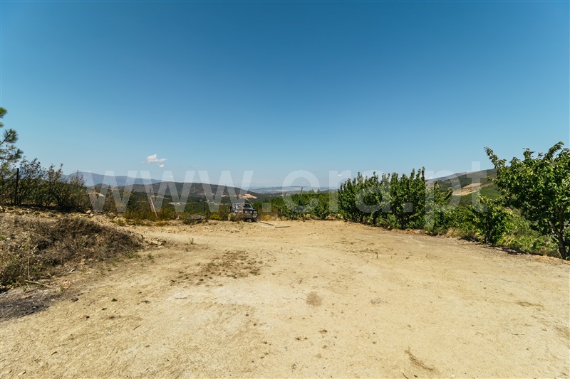 Herdade  Fundão, Castelejo - 1345875 - 4