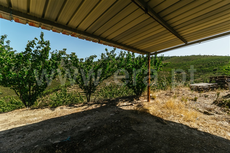 Herdade  Fundão, Castelejo - 1345875 - 5