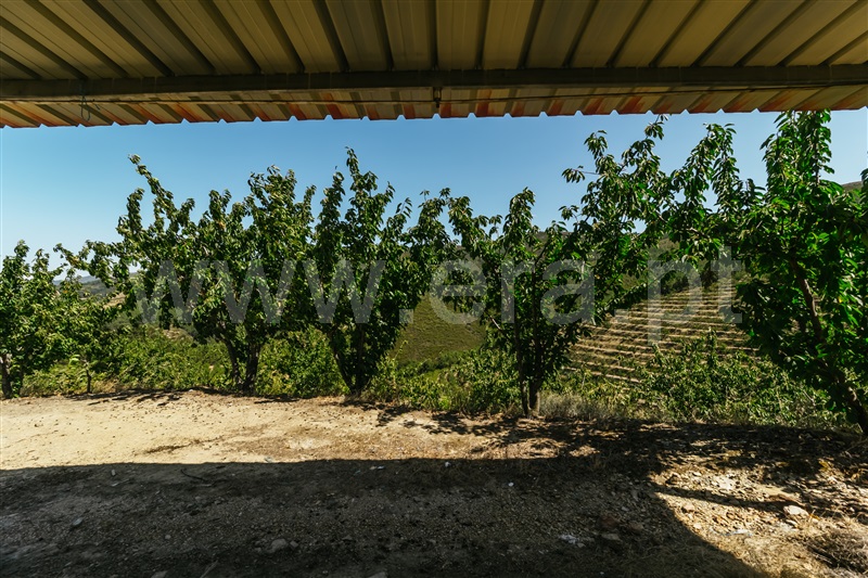 Herdade  Fundão, Castelejo - 1345875 - 7