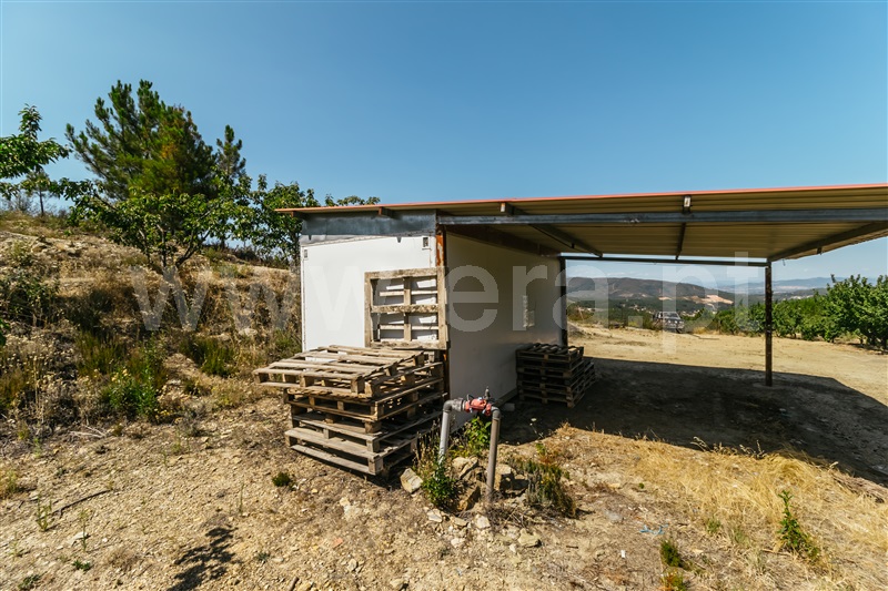 Herdade  Fundão, Castelejo - 1345875 - 10