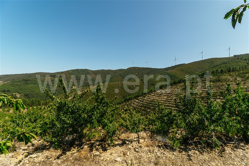 Herdade  Fundão, Castelejo - 1345875 - 14