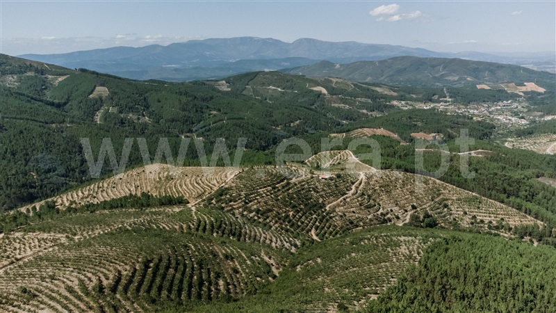Herdade  Fundão, Castelejo - 1345875 - 22