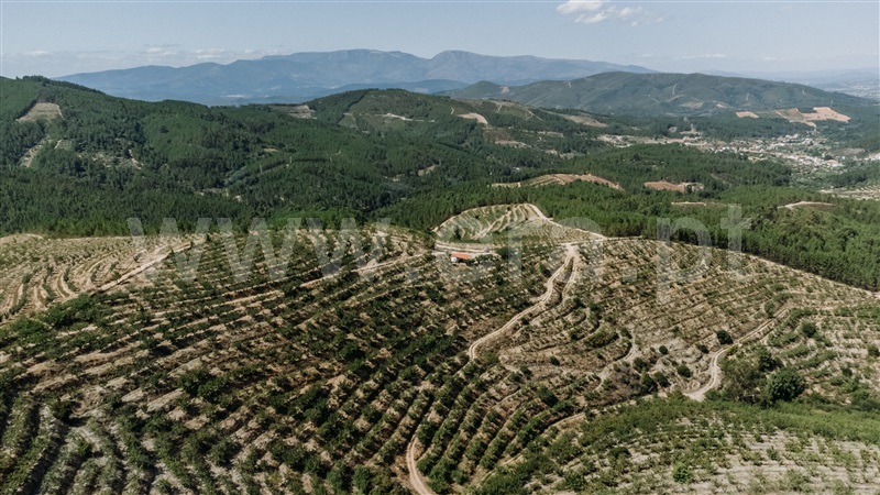 Herdade  Fundão, Castelejo - 1345875 - 24