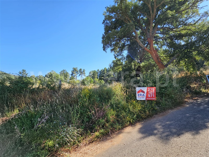 Terreno / Fundão, Castelejo