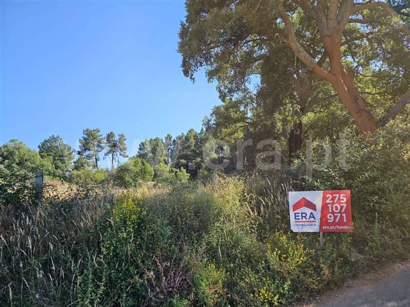 Terreno  Fundão, Castelejo - 1494742 - 2