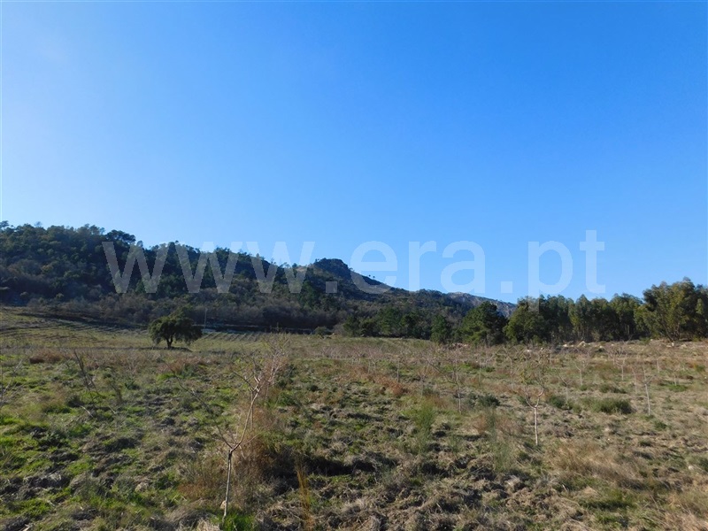 Terreno  Fundão, Castelo Novo - 979073 - 2