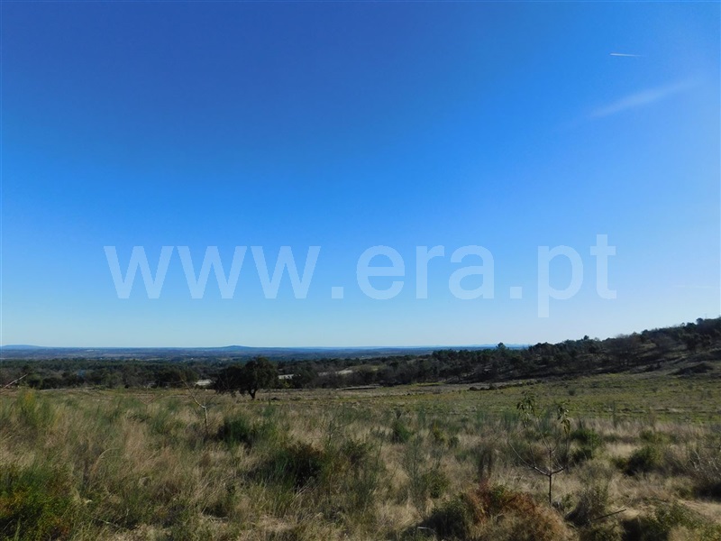 Terreno  Fundão, Castelo Novo - 979073 - 3