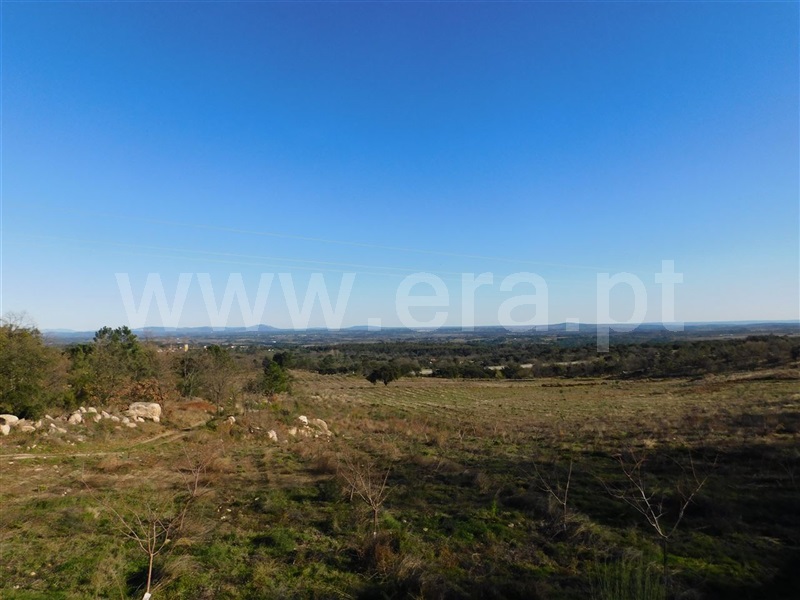 Terreno  Fundão, Castelo Novo - 979073 - 6