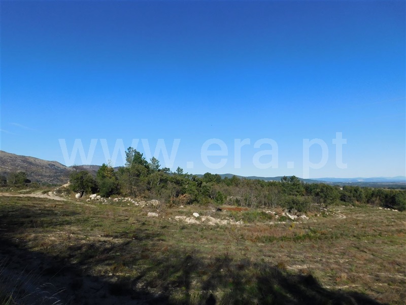 Terreno  Fundão, Castelo Novo - 979073 - 8