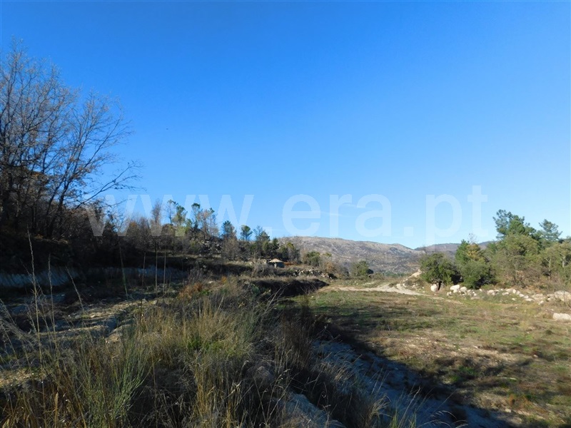 Terreno  Fundão, Castelo Novo - 979073 - 9