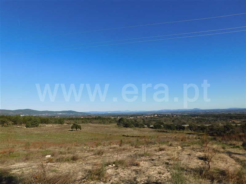Terreno  Fundão, Castelo Novo - 979073 - 10