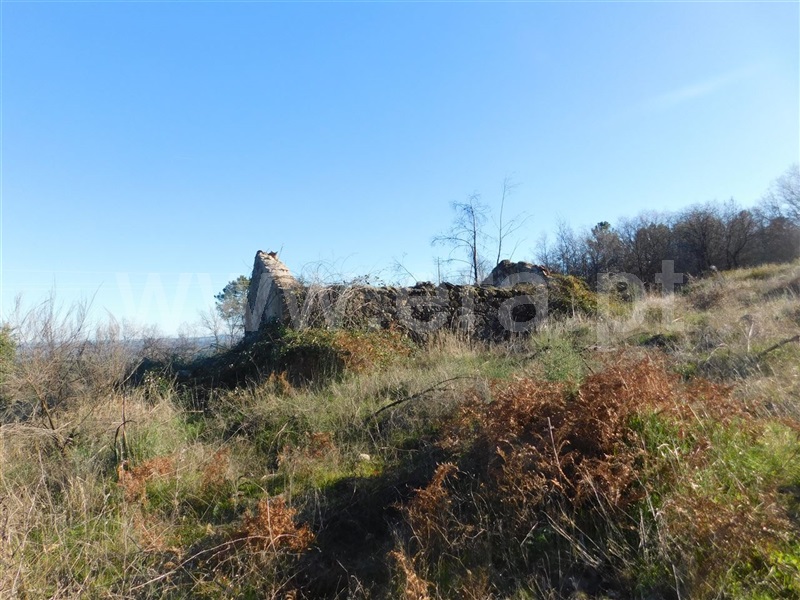 Terreno  Fundão, Castelo Novo - 979073 - 11