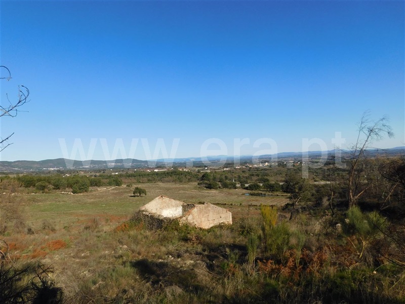 Terreno  Fundão, Castelo Novo - 979073 - 12