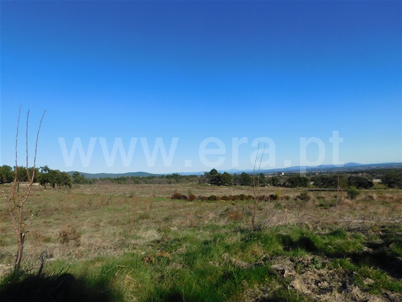 Terreno  Fundão, Castelo Novo - 979073 - 14