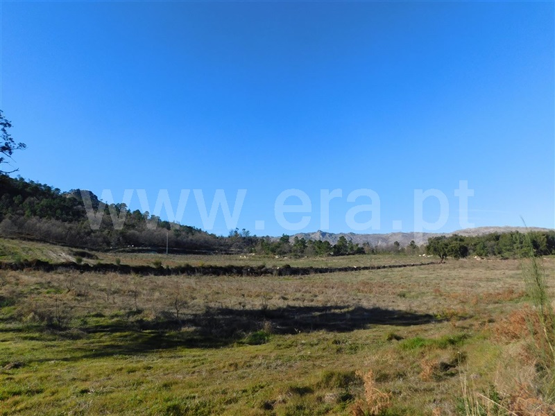 Terreno  Fundão, Castelo Novo - 979073 - 17