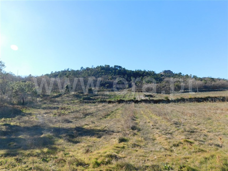 Terreno  Fundão, Castelo Novo - 979073 - 18