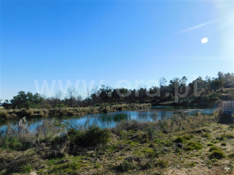 Terreno  Fundão, Castelo Novo - 979073 - 19