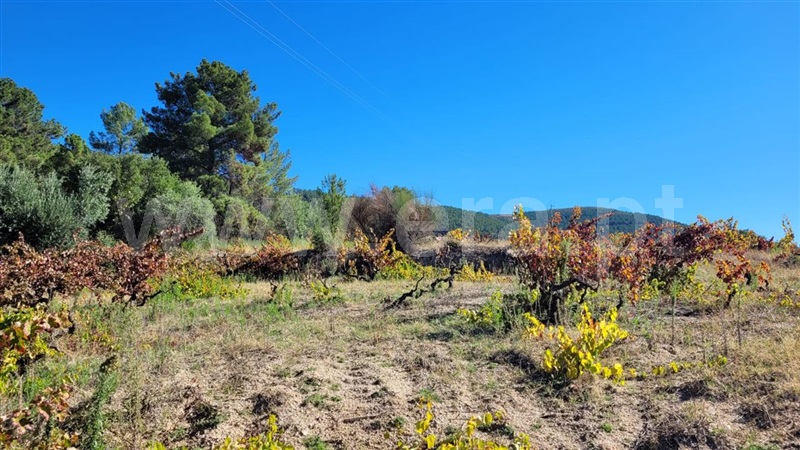 Terreno  Fundão, Cortiçada - 1278043 - 2