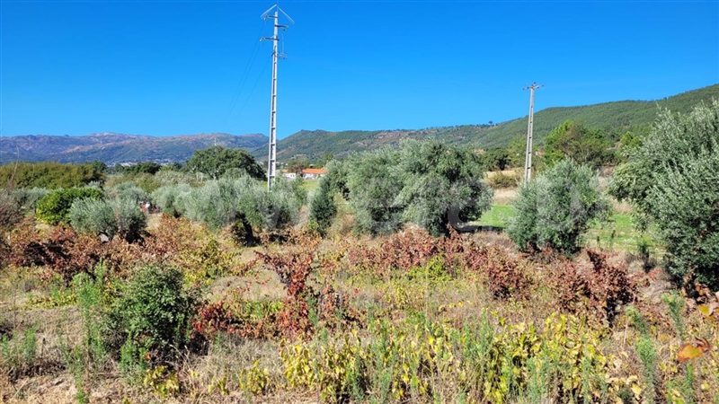 Terreno  Fundão, Cortiçada - 1278043 - 3
