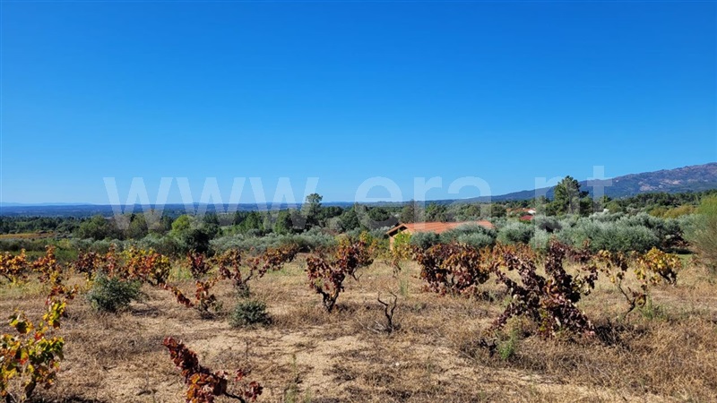 Terreno  Fundão, Cortiçada - 1278043 - 4