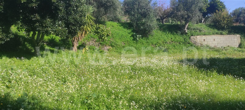 Terreno / Fundão, Cortiçada