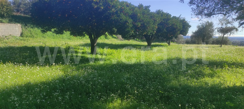 Terreno  Fundão, Cortiçada - 1378053 - 2