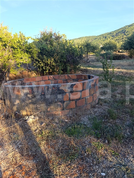 Terreno / Fundão, Cortiçada