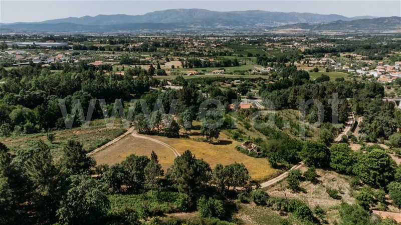Terreno / Fundão, Donas