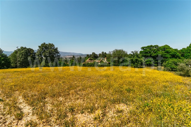 Terreno com ruina  Fundão, Donas - 1325602 - 2