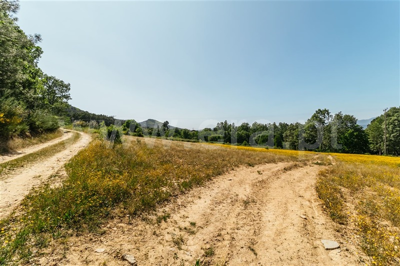 Terreno com ruina  Fundão, Donas - 1325602 - 11