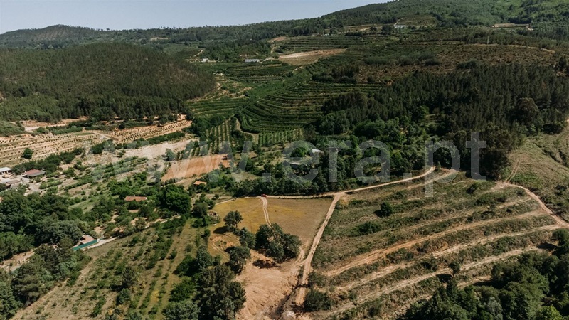 Terreno com ruina  Fundão, Donas - 1325602 - 19