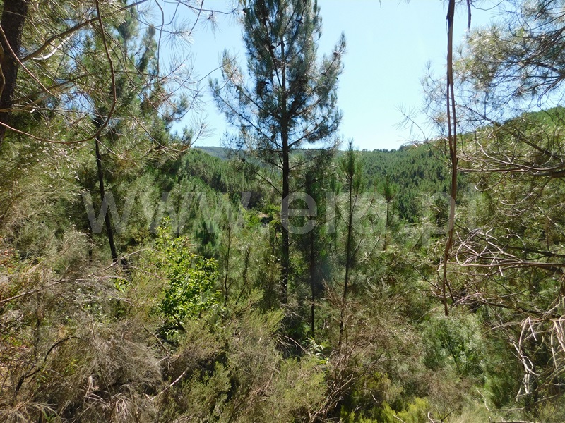 Terreno  Fundão, Enxabarda - 1348359 - 1
