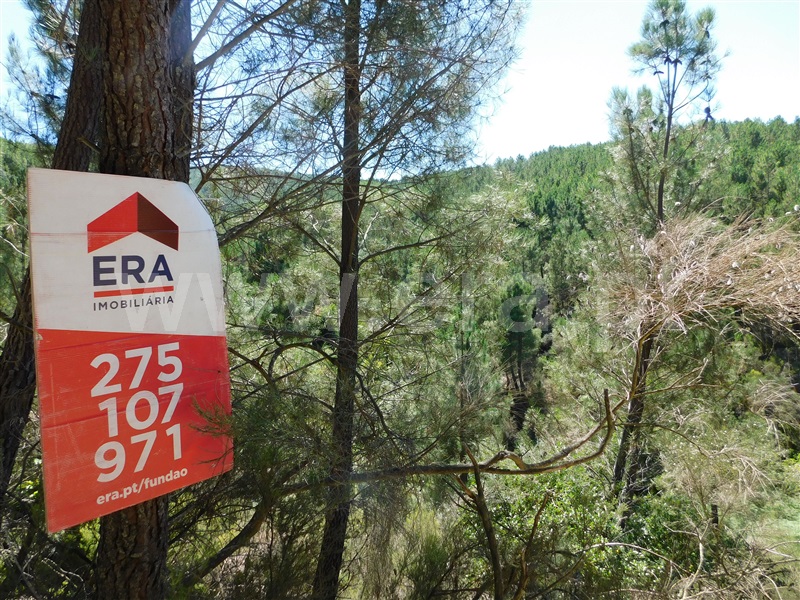 Terreno / Fundão, Enxabarda