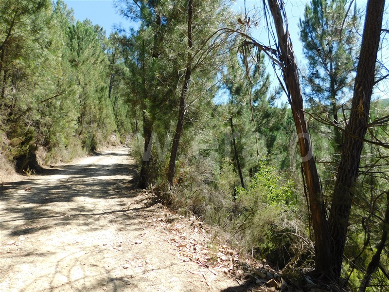 Terreno  Fundão, Enxabarda - 1348360 - 2