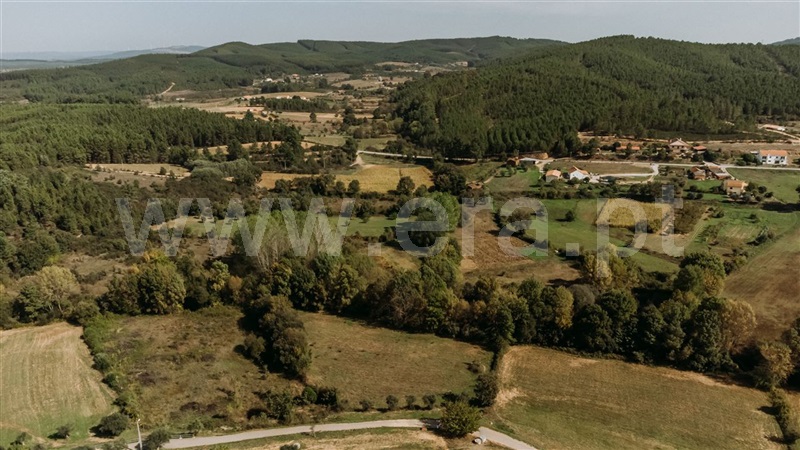 Terreno / Fundão, Enxames