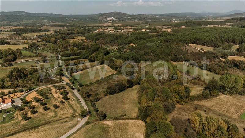 Terreno  Fundão, Enxames - 1286562 - 5