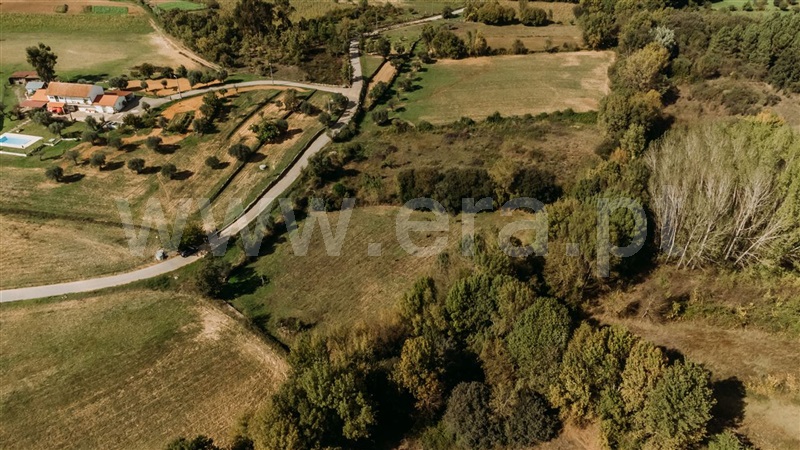 Terreno  Fundão, Enxames - 1286562 - 7