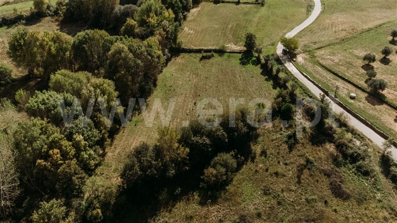 Terreno  Fundão, Enxames - 1286562 - 9