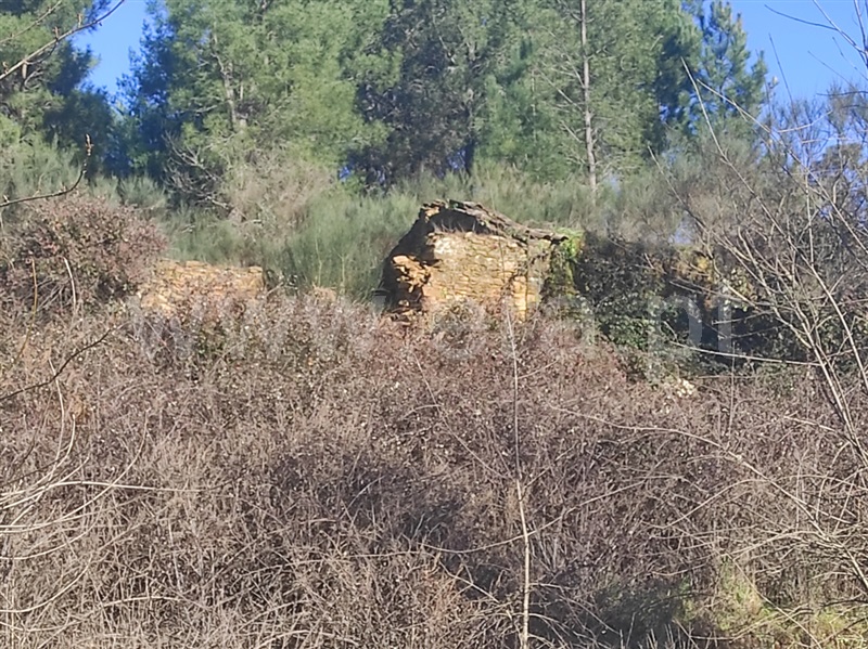 Terreno  Fundão, Enxames - 1308799 - 5