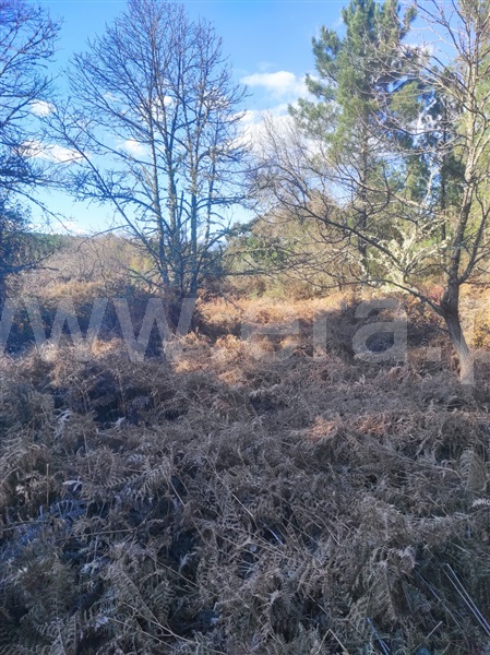 Terreno  Fundão, Enxames - 1308799 - 10