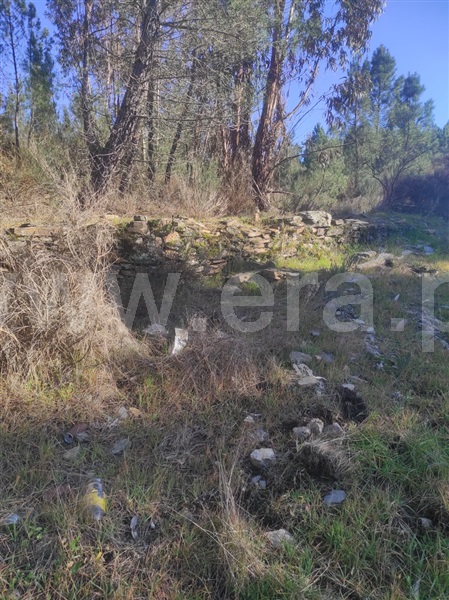 Terreno  Fundão, Enxames - 1308799 - 11
