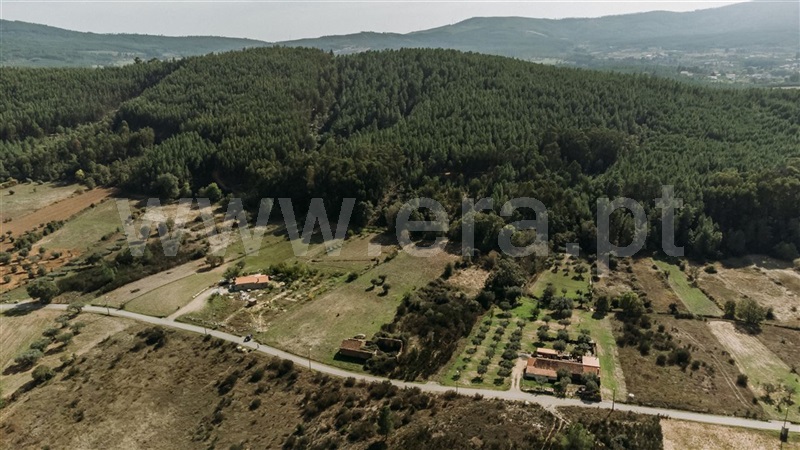 Terreno com ruina  Fundão, Enxames - 1330667 - 6