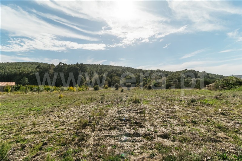 Terreno com ruina  Fundão, Enxames - 1330667 - 20