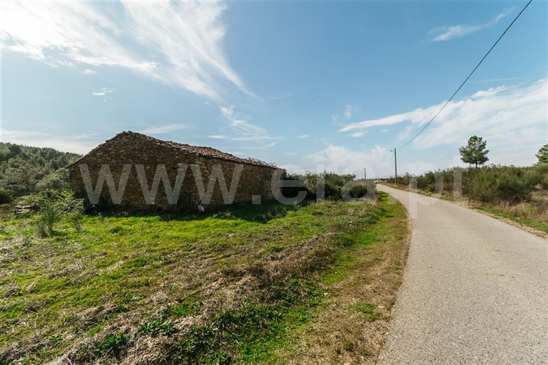 Terreno com ruina  Fundão, Enxames - 1330667 - 21