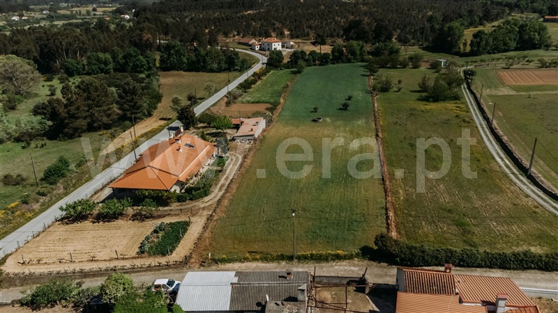 Terreno  Fundão, Enxames - 1394985 - 2